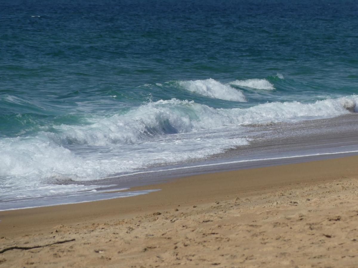 Saint-Martin-de-Seignanx Toki Eder Chez Marisol, Piscine Chauffee, Decoration Soignee Et Ocean A 15 Minutes Entre Bayonne Et Hossegorヴィラ エクステリア 写真